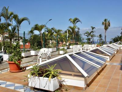 Dachterrasse mit Sonnenschutzfenstern und vielen Pflanzen in Töpfen, umgeben von Palmen.