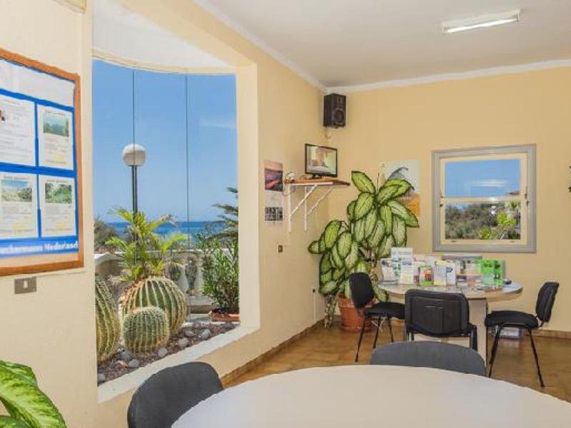 Heller Raum mit bunten Bildern an der Wand, runder Tisch, Stühlen und grünen Pflanzen.