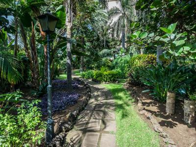 Sentier pavé serpentant à travers une végétation tropicale luxuriante et des palmiers dans un jardin d'hôtel.