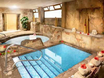 Espace piscine relaxant avec design naturel en pierre et fleurs tropicales.