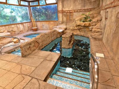 Espace intérieur avec mur en pierre, jacuzzi et bassin, idéal pour la détente dans un hôtel.