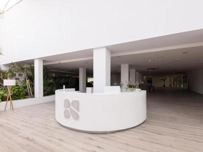 Espace d'accueil moderne ouvert avec comptoir blanc et plantes.