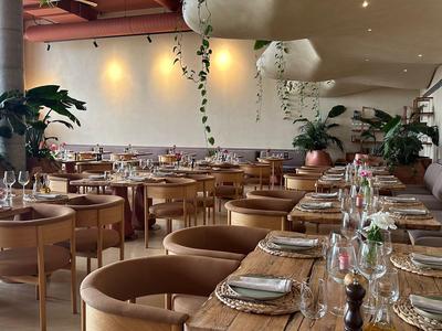 Elegante ristorante dell'hotel con mobili in legno, tavoli apparecchiati e piante verdi sullo sfondo.