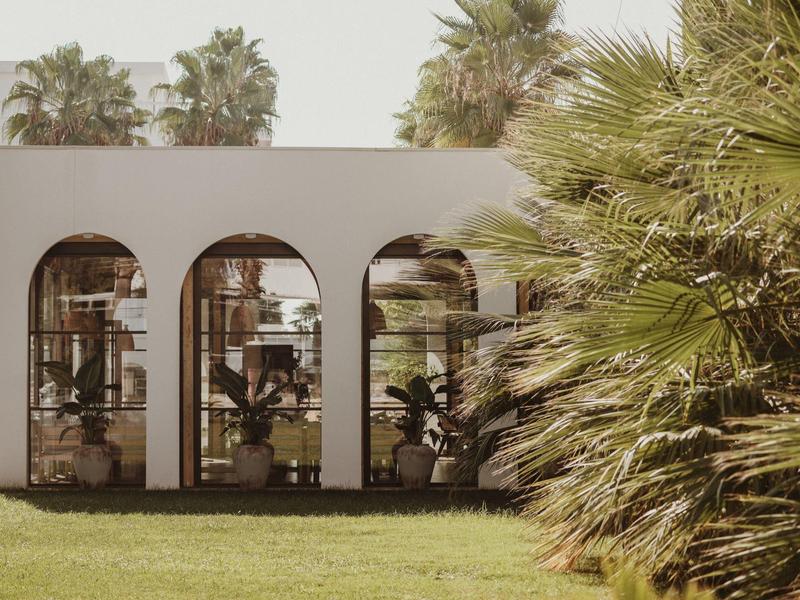 Moderner weißer Bau mit großen Rundbogenfenstern, grüner Rasen und Palmen im Vordergrund.