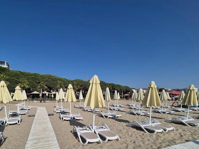 Leerer Strand mit Liegen und geschlossenen Sonnenschirmen bei klarem Himmel.