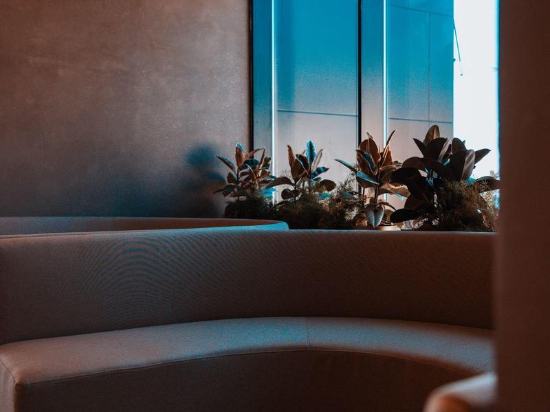 Modern lounge area with large windows and plants