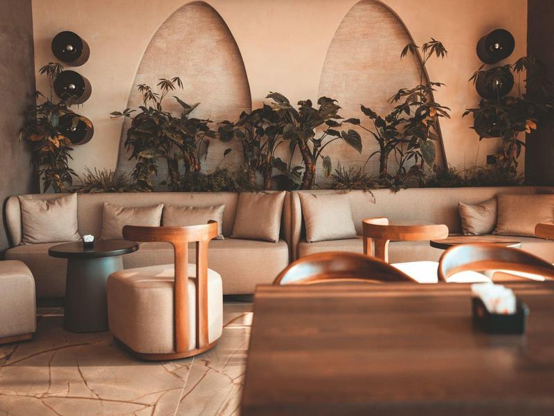 Cozy lounge area with cushioned sofas, plants, and warm wooden decor.