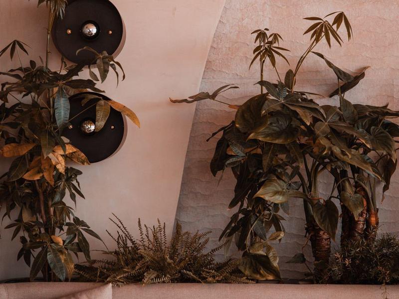 Cozy seating area with beige cushions and decorative plants against a pink wall.