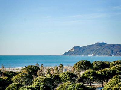 Grüner Küstenwald mit Berg und blauem Meer unter hellem, wolkenlosem Himmel.