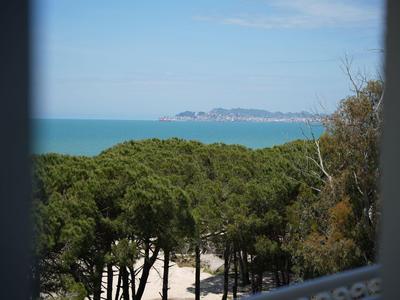 Blick durch ein Fenster auf eine grüne Waldfläche und das entfernte Meer mit Inseln unter blauem Himmel.