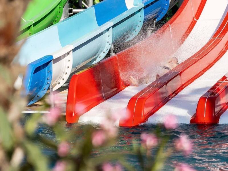 Drei bunte Wasserrutschen, die ins Schwimmbecken führen, umgeben von Pflanzen.