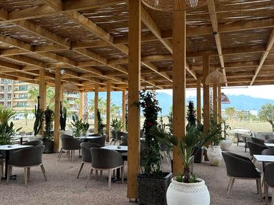 Espace extérieur en bois ouvert avec tables, chaises et plantes, vue sur la montagne en arrière-plan.