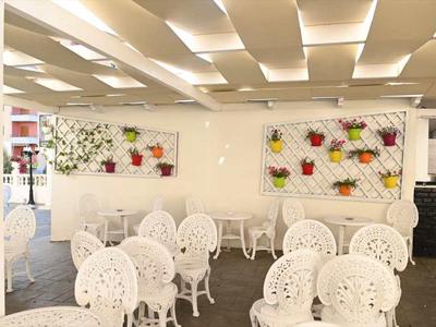 Terraza luminosa de hotel con sillas blancas decorativas y vegetación en la pared.