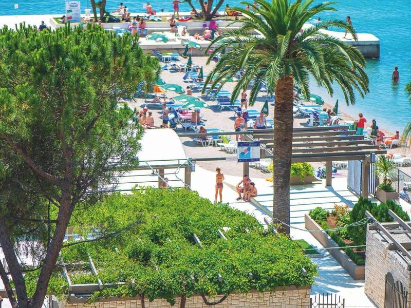 Playa con palmeras y tumbonas junto al mar, vista desde un hotel con áreas verdes.