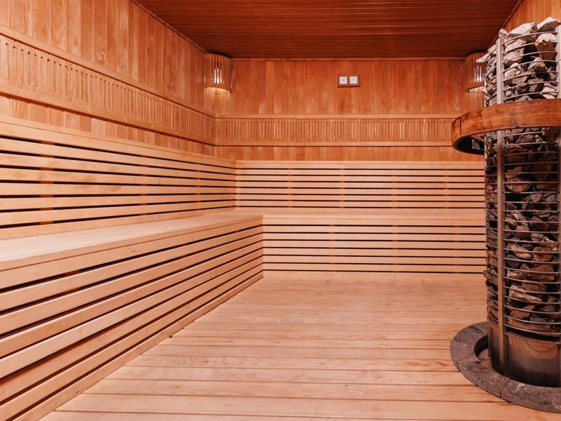 Moderne sauna met houten bekleding en centrale steenoven voor een gezellige sfeer.