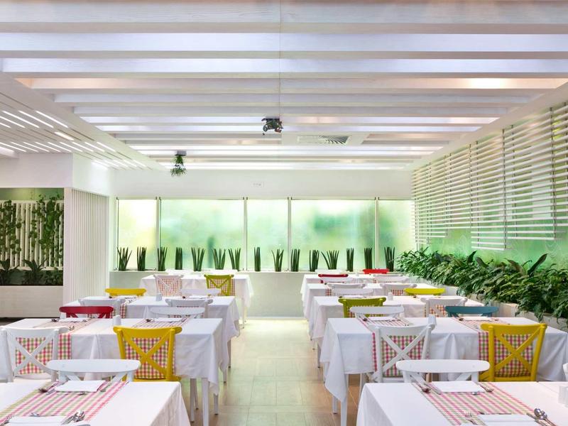 Helles, modernes Restaurant mit weißen Wänden, Holztischen und Stühlen, grünen Pflanzen und großen Fenstern.