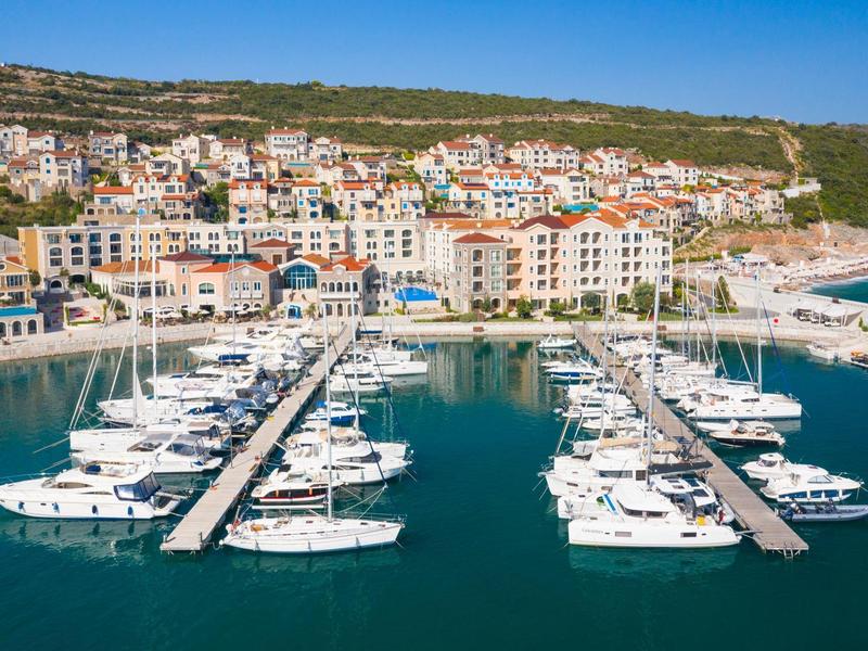 Moderne fitnessruimte met machines en halters, grote ramen en een helder houten plafond.