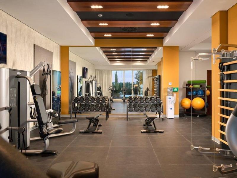 Moderne fitnessruimte met machines en halters, grote ramen en een helder houten plafond.