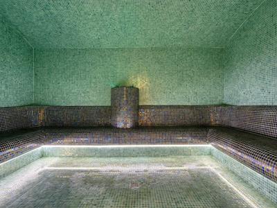 Leerer Innenpool mit grünen und braunen Fliesen, rechteckig und von Wänden umgeben.