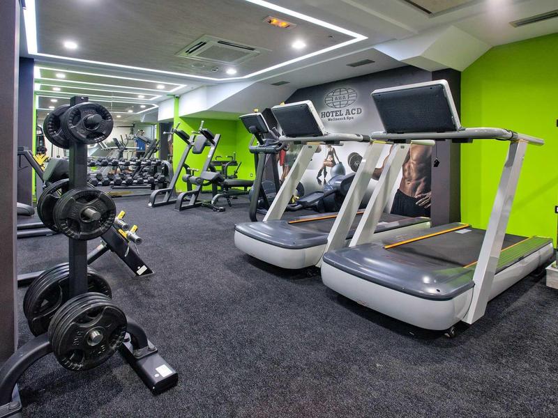 Moderner Fitnessraum mit Laufbändern, Hanteln, Rumpftrainer und grünen Wänden.