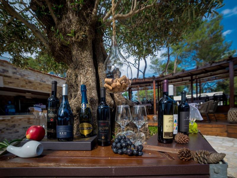 Rustikální venkovní scéna se stolem, lahvemi vína, sklenicemi, hrozny a chlebem pod stromem.