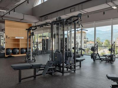 Moderne sportschool met apparatuur en grote ramen met uitzicht op bergen.