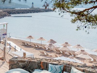 Strand mit Liegestühlen und Sonnenschirmen unter einem Schatten spendenden Baum am Meer.