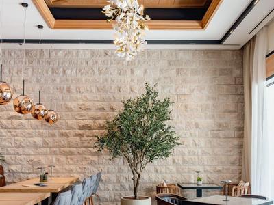 Moderner Gastraum mit Holzdecke, Pflanze in Topf und Sitzbereich mit blauen und braunen Stühlen.