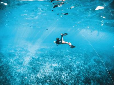 Taucher erkundet klares blaues Wasser über Korallenriff.