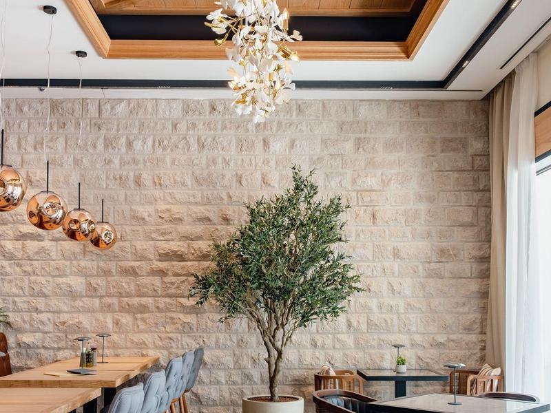 Moderner Gastraum mit Holzdecke, Pflanze in Topf und Sitzbereich mit blauen und braunen Stühlen.