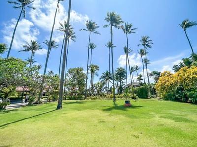 Large green lawn with tall palm trees under bright blue sky in a hotel resort.