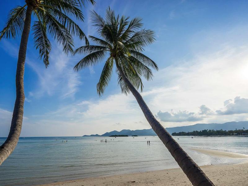Zwei schiefe Palmen am Sandstrand mit ruhigem Meer und blauem Himmel mit Wolken.