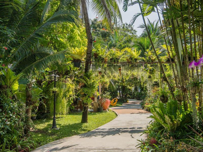 Sentiero attraverso giardino tropicale con palme rigogliose e fiori in giornate di sole