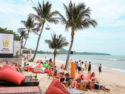 Spiaggia con palme, lettini e persone che si godono il mare.