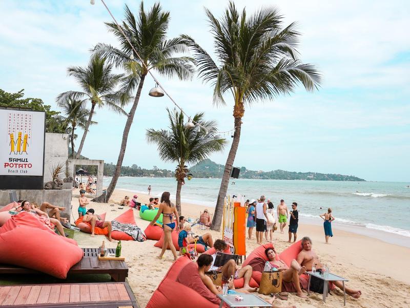 Spiaggia con palme, lettini e persone che si godono il mare.
