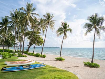 Strand mit Palmen, grünem Gras, bunten Kanus und ruhigem Meer unter blauem Himmel.