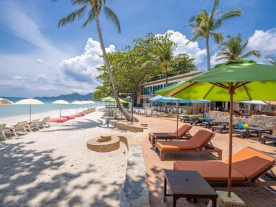 Pláž s lehátky, zelenými slunečníky a palmami pod modrou oblohou.