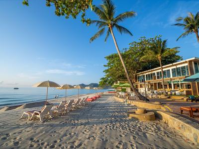 Strand mit Liegestühlen, Sonnenschirmen und Palmen neben einem Gebäude am Meer.