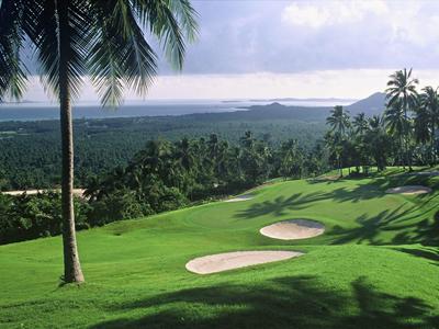 Zielone pole golfowe z bunkrami piaskowymi i palmami pod pochmurnym niebem i odległym krajobrazem.