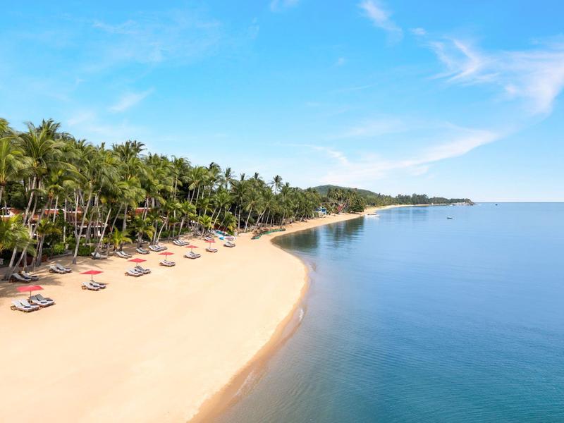 Pusta złocista piaszczysta plaża z palmami i leżakami przy spokojnym niebieskim morzu pod błękitnym niebem.