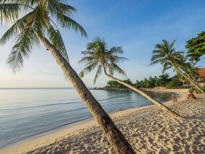 Sandy beach with leaning palm trees and calm sea under blue sky.