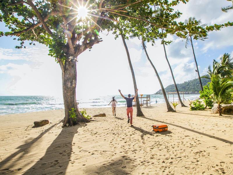 Lidé cvičí jógu na slunné písečné pláži s palmami a výhledem na oceán.