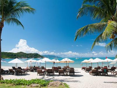 Plage avec transats, parasols et palmiers sous un ciel bleu clair et la mer