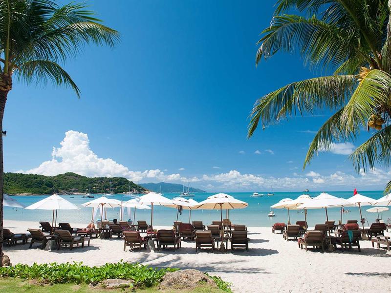 Plage avec transats, parasols et palmiers sous un ciel bleu clair et la mer