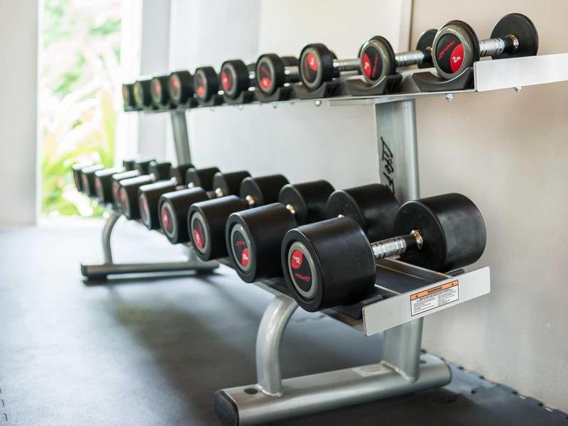 Râtelier d'haltères avec différents poids dans une salle de sport lumineuse.