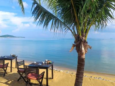 Restauracja na plaży z stołami i krzesłami pod palmami przy spokojnym morzu