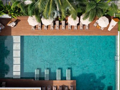 Vista aérea de una piscina rectangular con tumbonas y sombrillas bajo palmeras.
