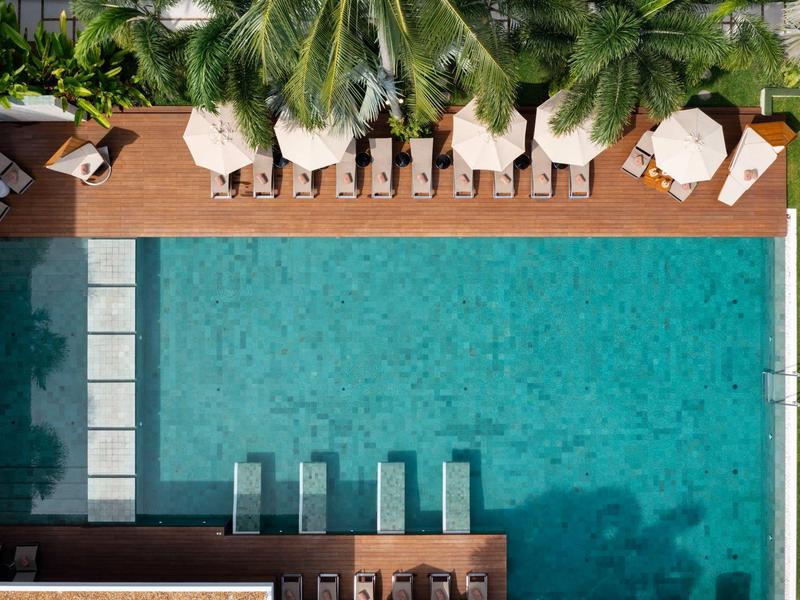 Vista aérea de una piscina rectangular con tumbonas y sombrillas bajo palmeras.