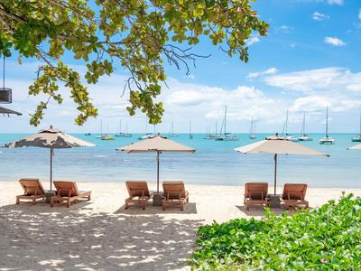 Playa soleada con tumbonas y sombrillas junto al mar tranquilo bajo cielo azul.