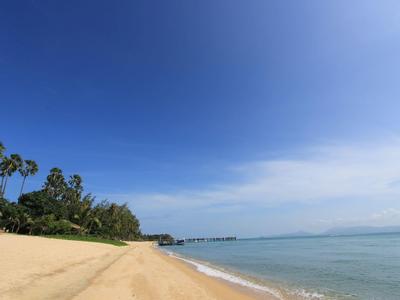Een rustige zandstrand met een heldere blauwe lucht en palmbomen op de achtergrond.